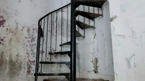 treehouse - 20200821_2056566Ik.jpg