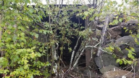 Early Afternoon Visit - DSC_0090FEF.jpg