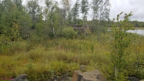 Early Afternoon Visit - DSC_00913wp.jpg