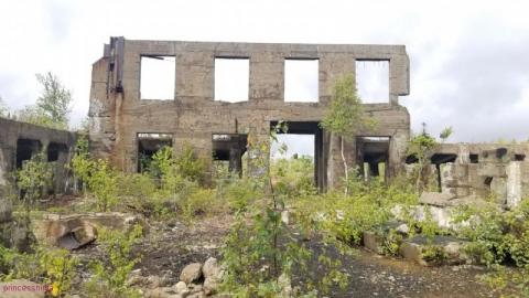 Early Afternoon Visit - DSC_0093g93.jpg