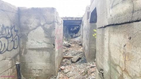 Early Afternoon Visit - DSC_0097CzE.jpg