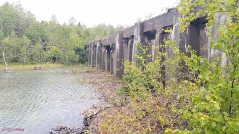 Early Afternoon Visit - DSC_0098BwI.jpg