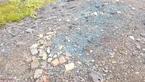 Early Afternoon Visit - DSC_0099rBo.jpg