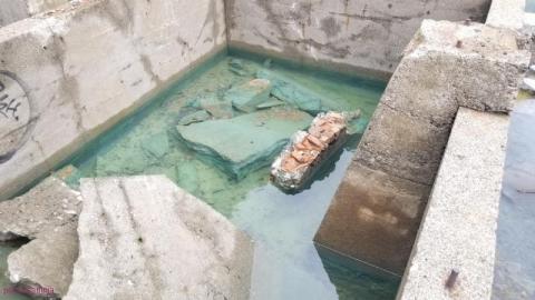 Photo from Early Afternoon Visit