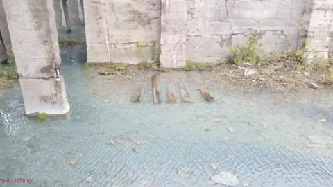 Photo from Early Afternoon Visit