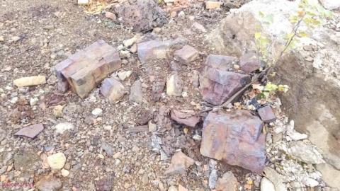 Early Afternoon Visit - DSC_0104780.jpg