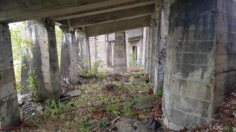 Photo from Early Afternoon Visit