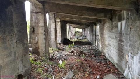 Early Afternoon Visit - DSC_0106baB.jpg