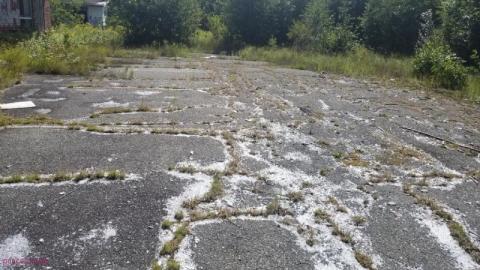 Pit Stop - DSC_01111n1.jpg