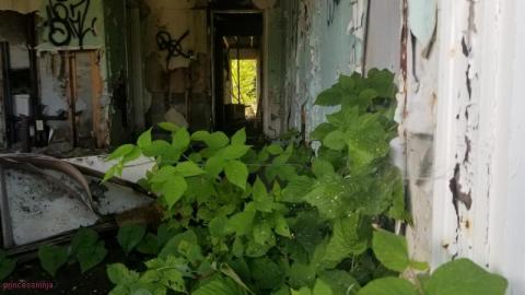 Pit Stop - DSC_0109iHN.jpg