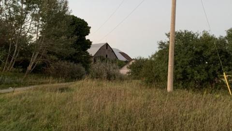 First Visit - 1512849A-8E89-4E5A-BD0F-A583CEA44521wCs.jpg