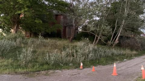 First Visit - 32073801-E866-463F-88B8-B2C2DECA1796VxT.jpg