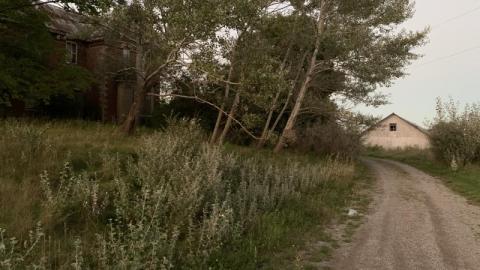 First Visit - 10CB535C-D61C-4AAC-BA0A-0951698A3C7Ab90.jpg