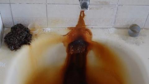 Possum Queen Hall Nov '19 - DSC01499L6o.jpg