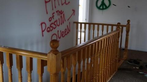 Possum Queen Hall Nov '19 - DSC01507imd.jpg