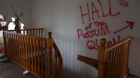 Possum Queen Hall Nov '19 - DSC01511H19.jpg