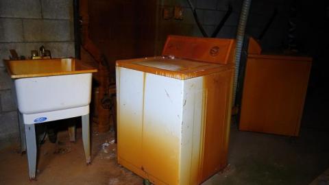 Possum Queen Hall Nov '19 - DSC01543NqN.jpg