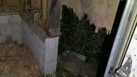 Photo from Lumber Storage