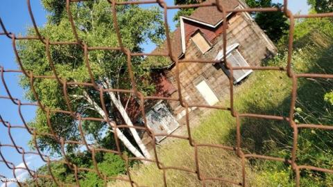 rando find - 20200814_1744110Cg.jpg