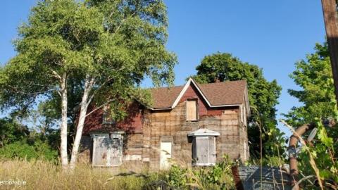 rando find - 20200814_174515pB5.jpg