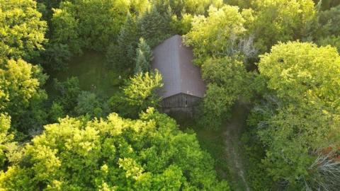 First Visit - org_3866b33f686eae1e_1599260952000NNn.jpg