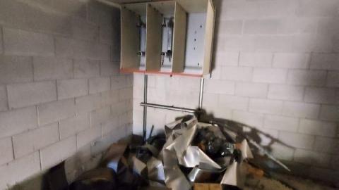 Mummified mouse - 20200827_1735281rR.jpg