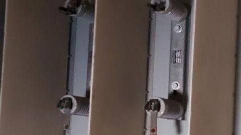 Mummified mouse - 20200827_173557oam.jpg