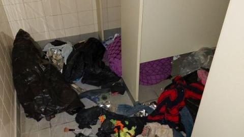 Mummified mouse - 20200827_173827PTn.jpg