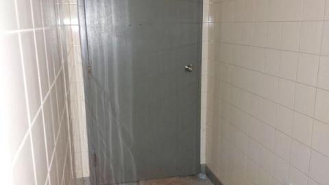 Mummified mouse - 20200827_173912gw2.jpg