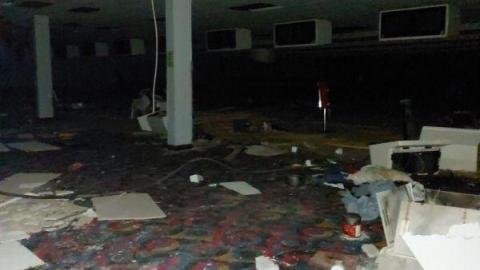 Mummified mouse - 20200827_1739413Dm.jpg