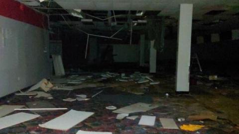 Mummified mouse - 20200827_174027NgJ.jpg