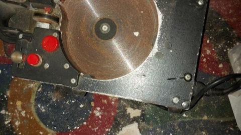 Mummified mouse - 20200827_174113ShG.jpg