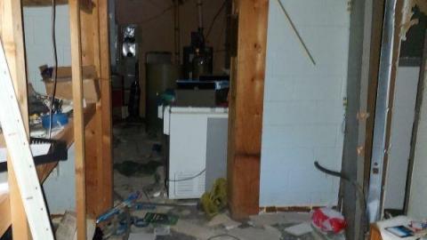 Mummified mouse - 20200827_174151JbY.jpg