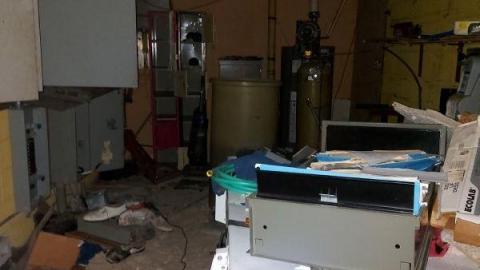 Mummified mouse - 20200827_174313d6T.jpg