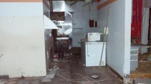 Mummified mouse - 20200827_1818366vl.jpg