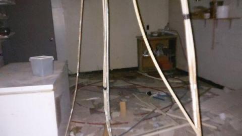 Mummified mouse - 20200827_181855ytG.jpg