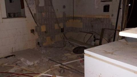 Mummified mouse - 20200827_181952qjX.jpg