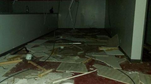 Mummified mouse - 20200827_182011khS.jpg