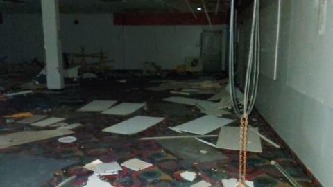 Mummified mouse - 20200827_182051SEu.jpg