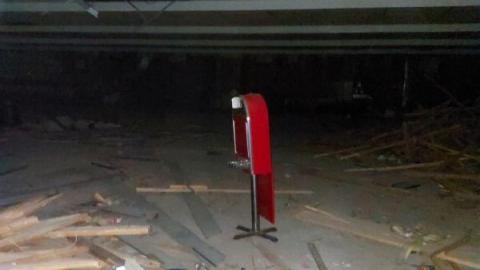 Mummified mouse - 20200827_182122rDF.jpg