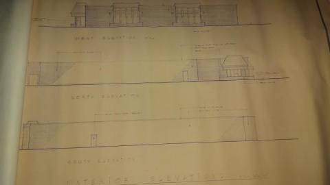 Mummified mouse - 20200827_18214680F.jpg