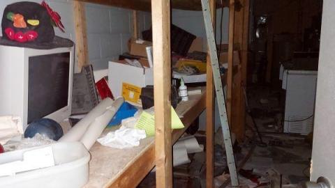 Mummified mouse - 20200827_182203MKJ.jpg