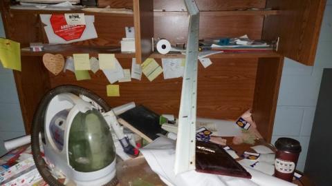 Mummified mouse - 20200827_182216xuN.jpg