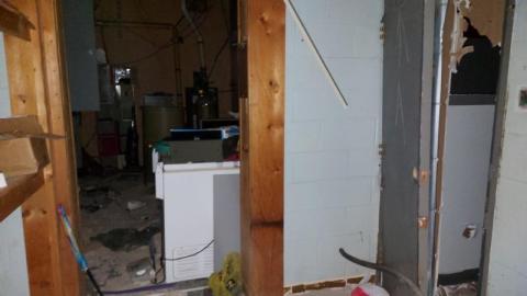 Mummified mouse - 20200827_182223QnI.jpg