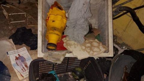 Mummified mouse - 20200827_182258jOc.jpg