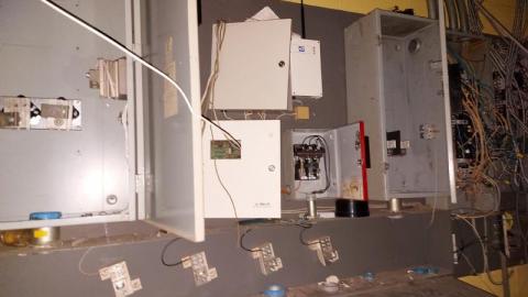 Mummified mouse - 20200827_182306bFU.jpg