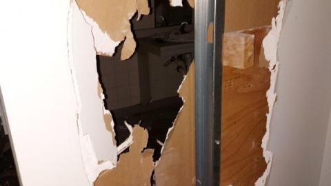 Mummified mouse - 20200827_182328cPy.jpg