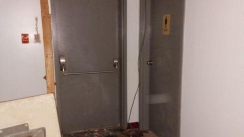 Mummified mouse - 20200827_182344hTA.jpg