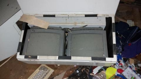 Mummified mouse - 20200827_182412BDF.jpg