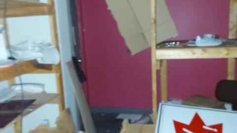 Mummified mouse - 20200827_182550yzf.jpg